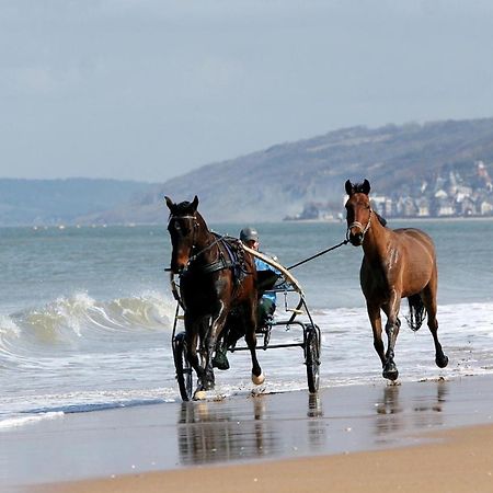 Le Nid De Plage A 100 M De La Mer Cabourg Esterno foto