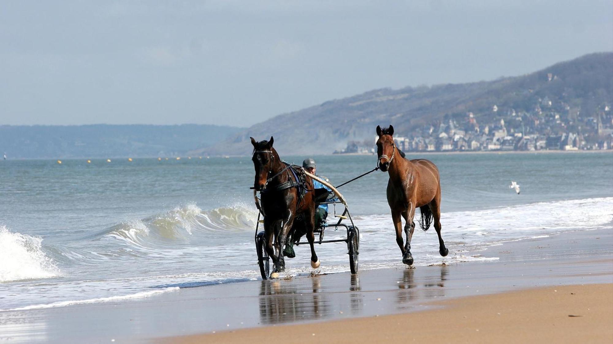 Le Nid De Plage A 100 M De La Mer Cabourg Esterno foto